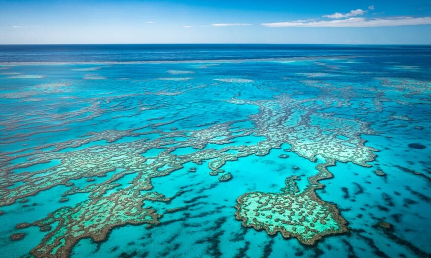 Great Barrier Reef Australia Laut Dengan Terumbu karang terbesar